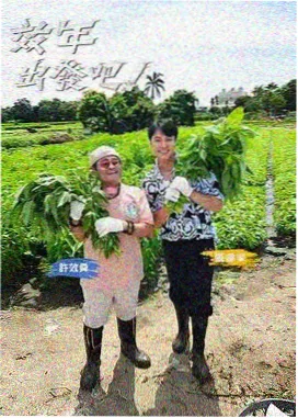 策驰在线观看旅行综艺慢城漫游